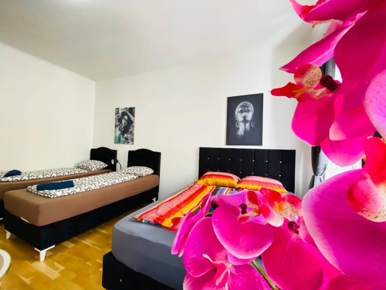 Deluxe Studio In Josefstaedter Strasse Area Leilighet Wien Eksteriør bilde