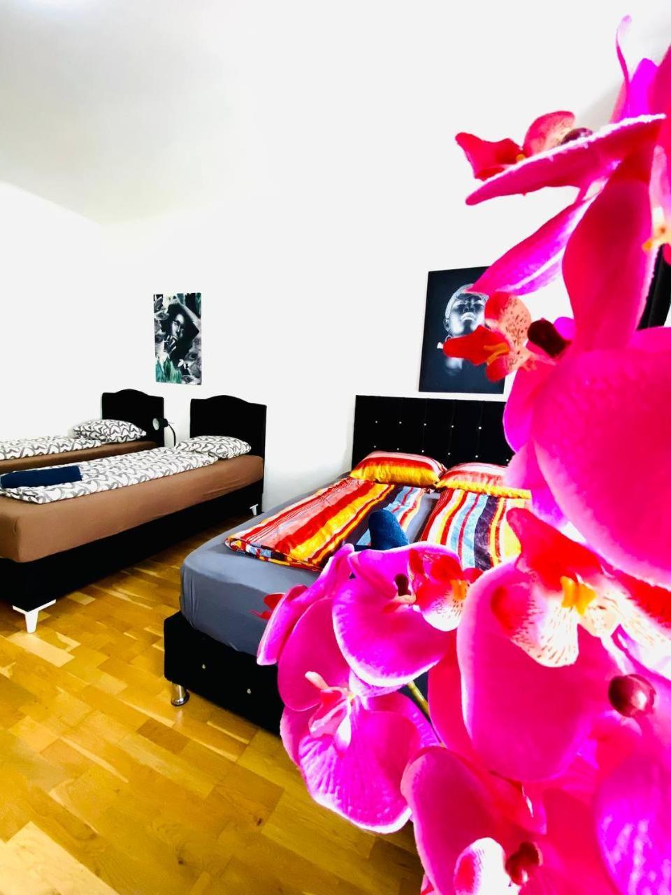 Deluxe Studio In Josefstaedter Strasse Area Leilighet Wien Eksteriør bilde